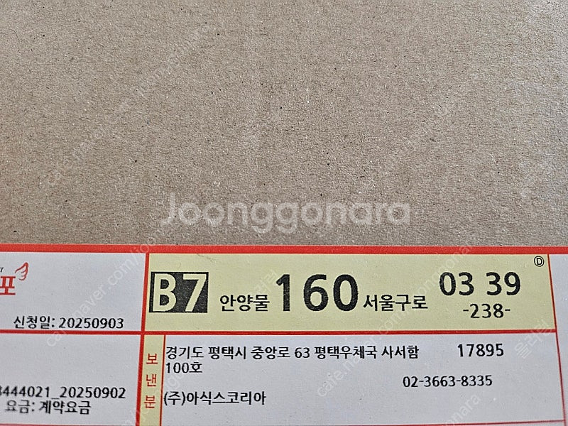 (미시착새상품) 아식스 메가블라스트 250--2