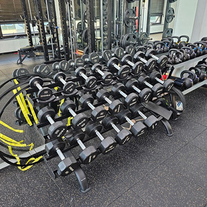 플러그 휘트니스 폴리 덤벨(아령) 335kg 세트