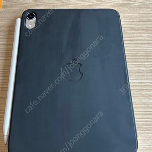 아이패드 미니6 스타라이트 256기가 셀룰러