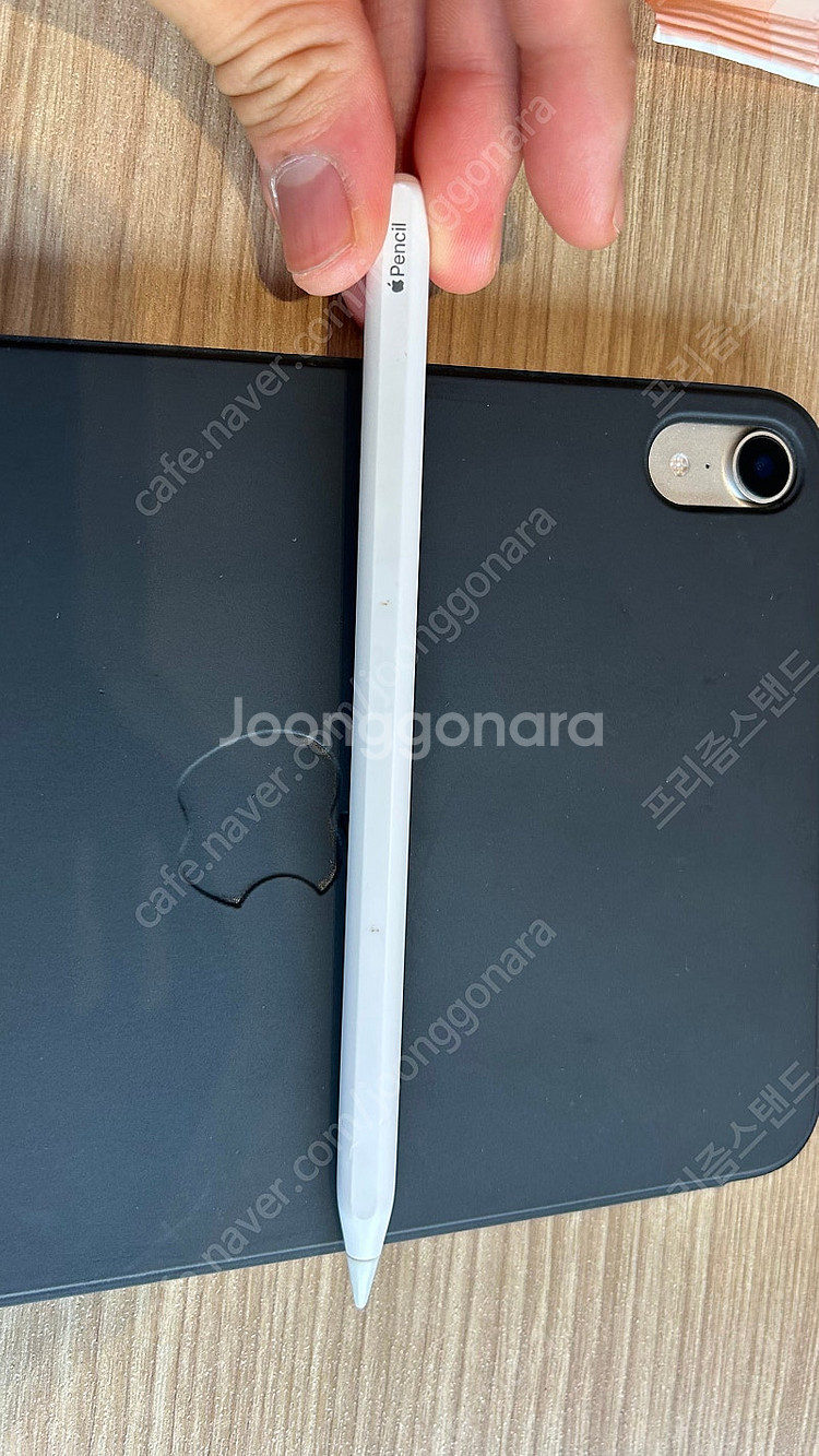 아이패드 미니6 스타라이트 256기가 셀룰러--2