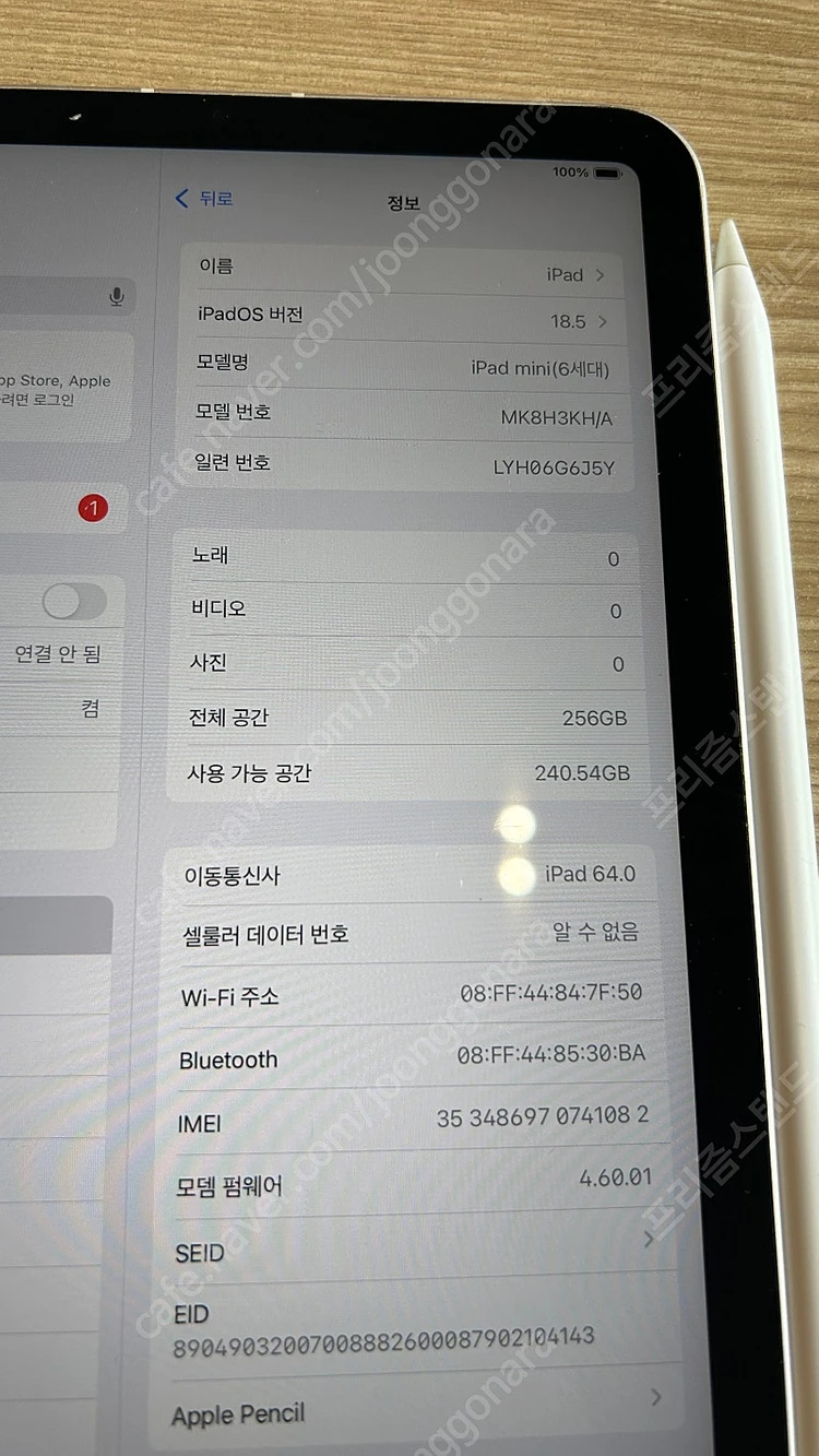 아이패드 미니6 스타라이트 256기가 셀룰러 이미지