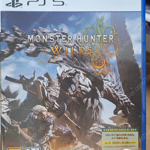 PS5 / 플스5 게임 타이틀 몬스터 헌터 와일즈, PS5 GTA5, 소울 해커즈2(PS4) 팝니다.