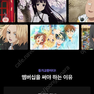 라프텔 3개월만 하실분
