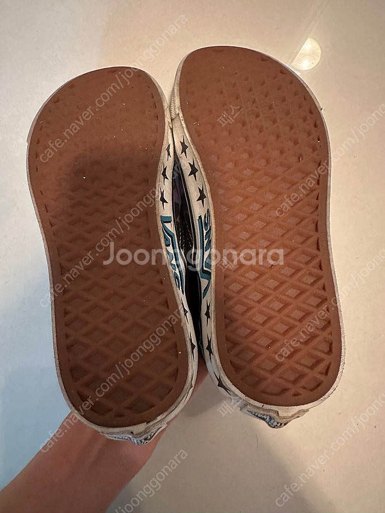 반스 슬립온 220 택포--1