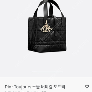 디올 뚜주흐 스몰 버티컬 토트백 (판교 현백 구입)