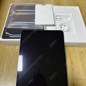 아이패드프로 M4 13인치 256기가 셀룰러 실버 애케플