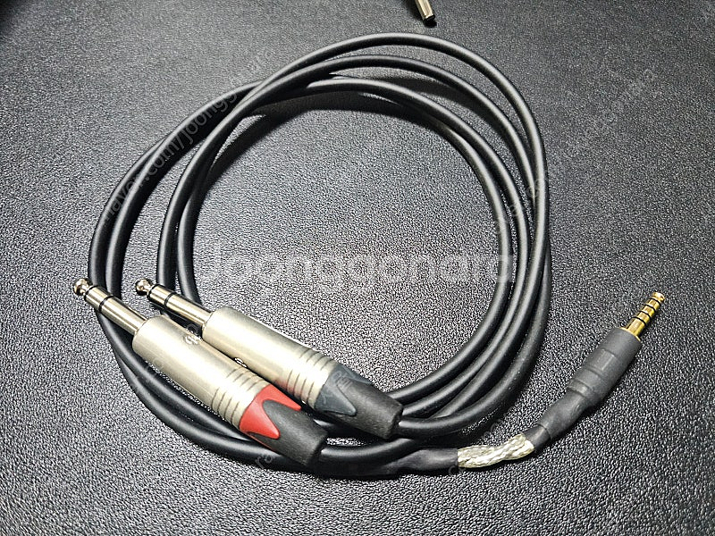 iFi audio ZEN CAN Signature MZ...--4