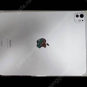 아이패드프로 m4 11 256 실버+ 팬슬프로