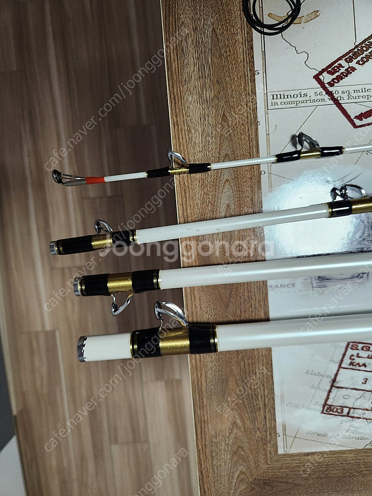 다이와 딥존 VJ 250-530 갈치대--4