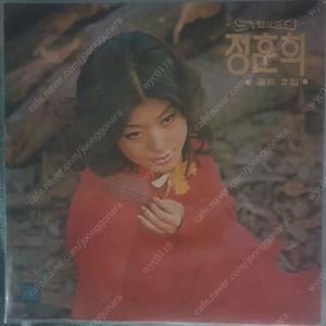 정훈희골든2 LP(칼라LP)