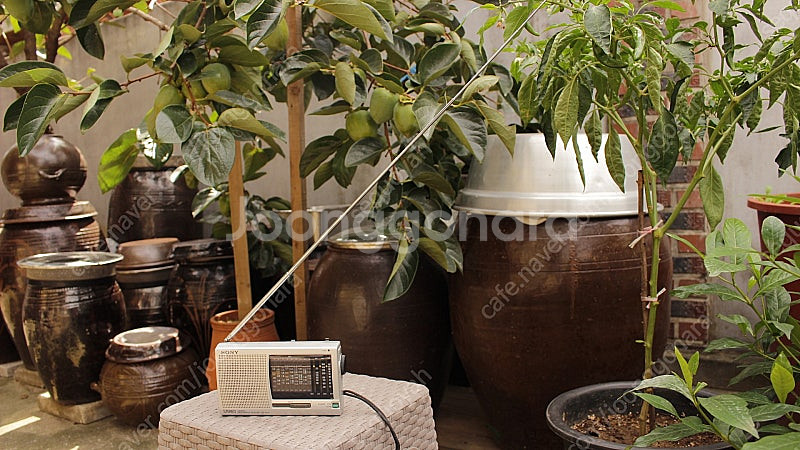 Sony 단파 라디오 ICF-SW11 9만원--3
