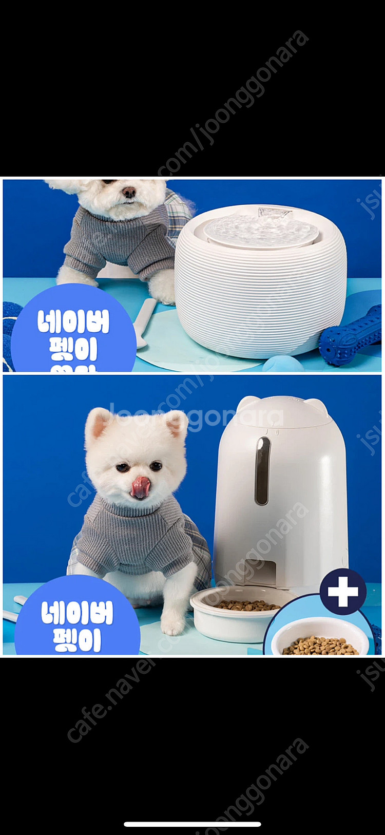 페키움 강아지 고양이 급식기 급수기 자동--0