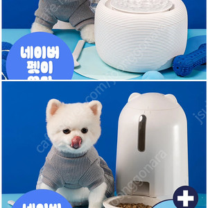 페키움 강아지 고양이 급식기 급수기 자동
