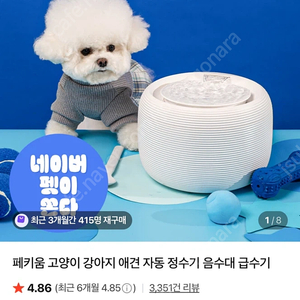 페키움 강아지 고양이 급식기 급수기 자동
