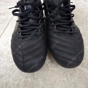 아식스 ds light x-fly pro 275 팝니다