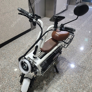 이디뚜뚜 애견 전동 스쿠터 48v 12a