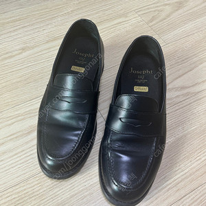 조셉트 로퍼(다니엘) 250