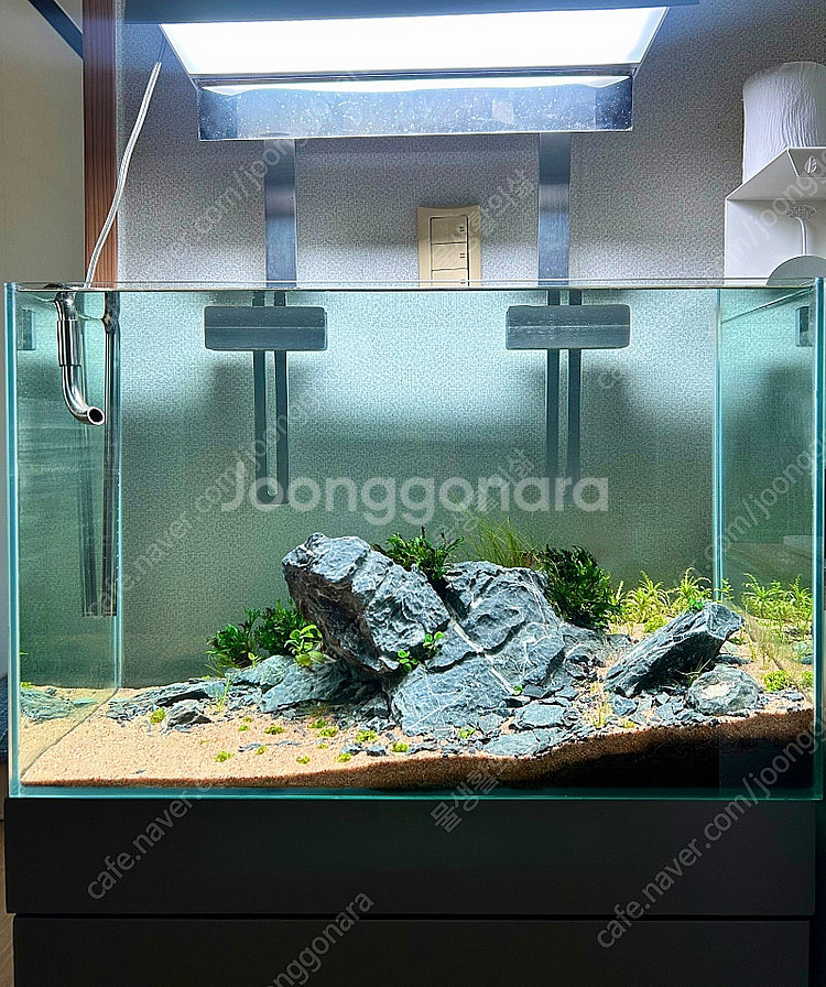 2자 청룡석 레이아웃 어항 풀세트--0