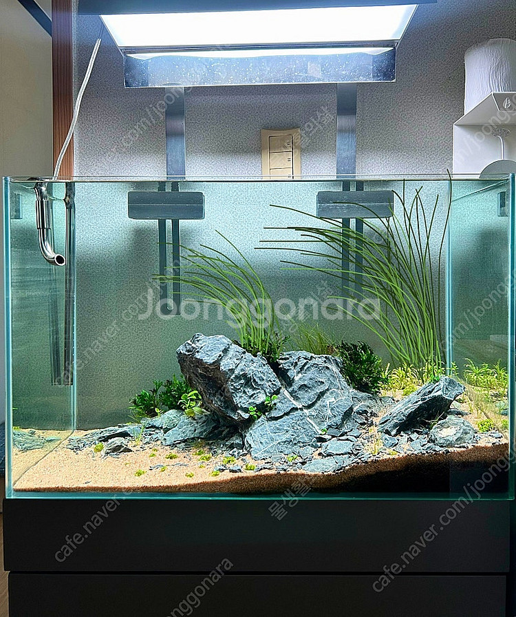 2자 청룡석 레이아웃 어항 풀세트--5