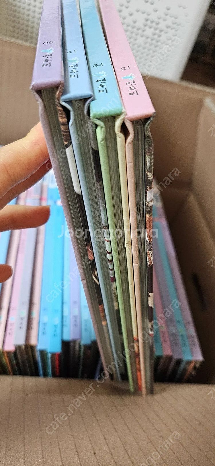 쫑알이 세계문화--3