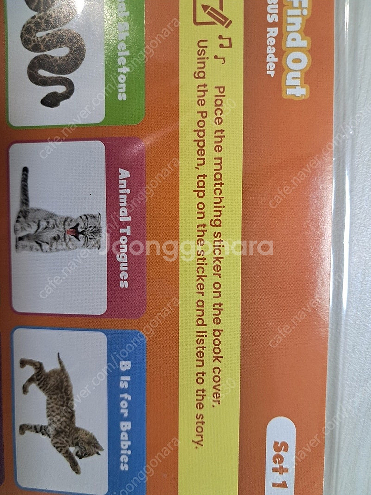 Scholastic Let's find out 48권--2