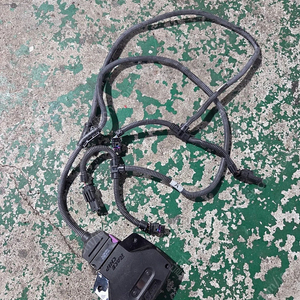 레이스칩 팝니다
