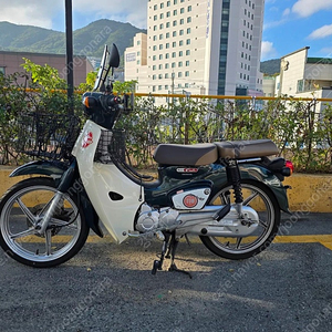 부산) 2020연식 슈퍼커브110 그린