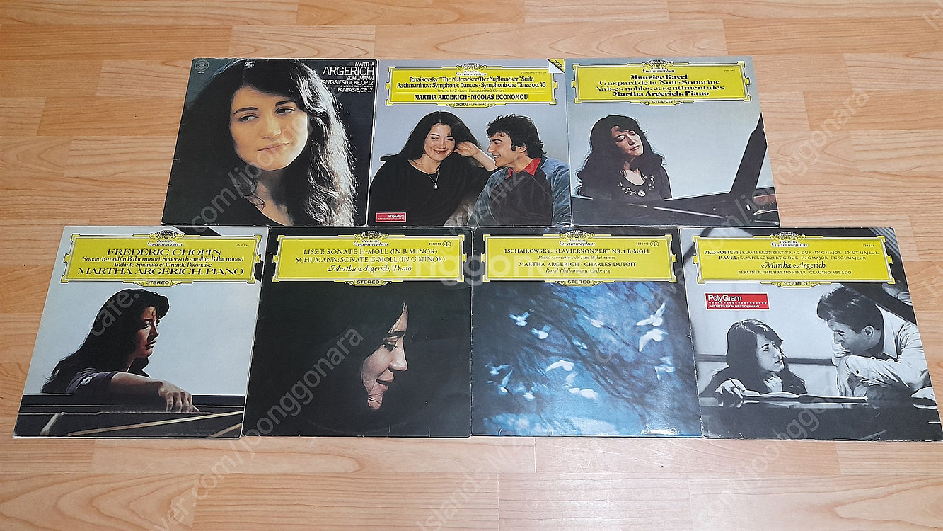 LP 호로비츠 Vladimir Horowitz 마르타 아르헤리치 Martha Argerich 블라디미르 아쉬케나지 ...--2