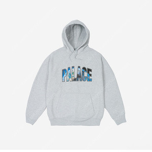 팔라스 어시 후드티 24fw 2XL
