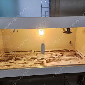 3자포맥스사육장