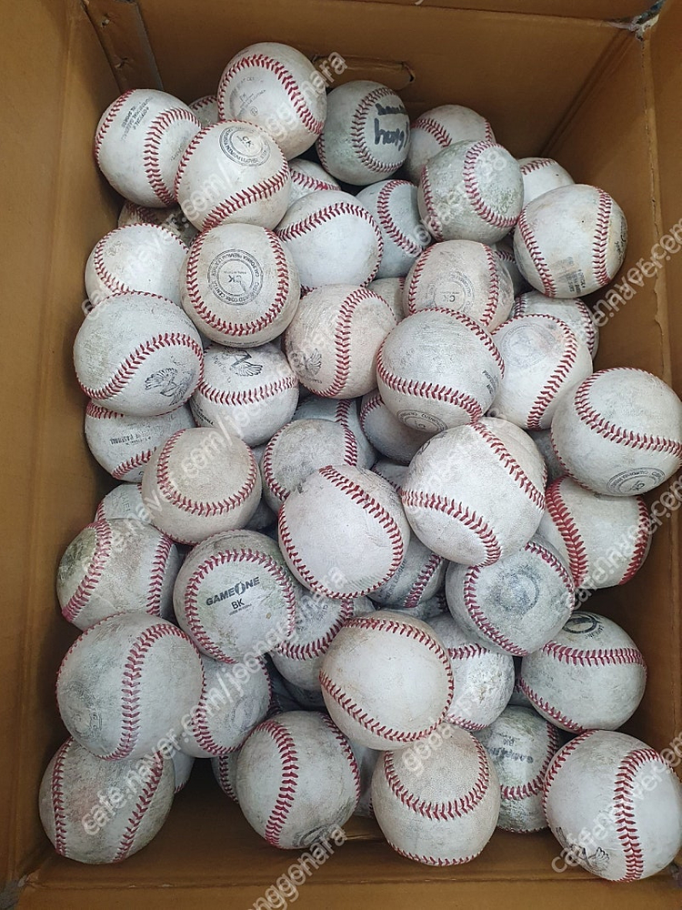 사회인야구리그 끝나고 수거한 깨끗한 야구공 펑고공 연--3