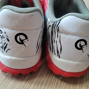 낫소 큐스펙트 타이거