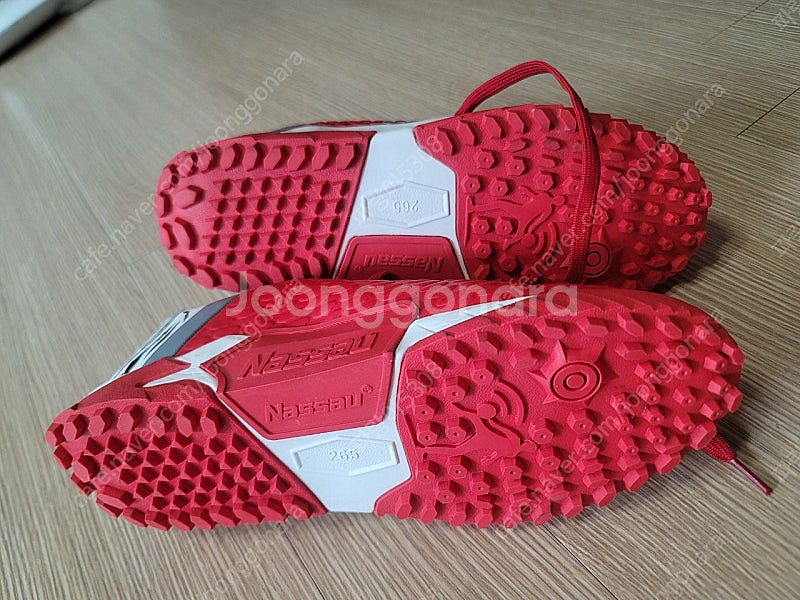 낫소 큐스펙트 타이거--1