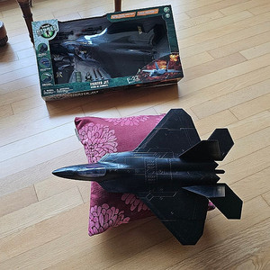 Gi joe 지아이조 F-22 스텔스 랩터 천연기념물 미개봉 블랙 팝니다 1/18