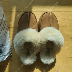 미국 어그 디스케트 팝니다(새거)