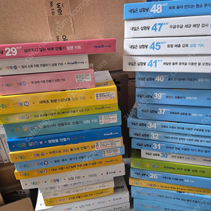 내일은실험왕 키드만30개(미사용)