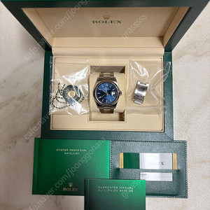 롤렉스 데이저스트 36 청판 오이스터 돔