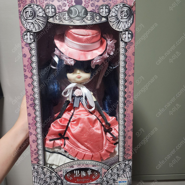 흑집사 시엘 울새 풀립 구관 코마도리 버전 263mm--1