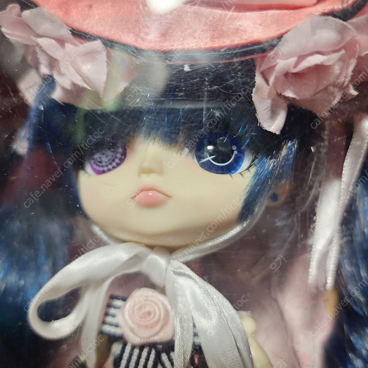 흑집사 시엘 울새 풀립 구관 코마도리 버전 263mm--3