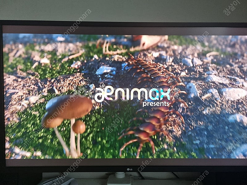 LG 32UK550 32인치 4K 모니터 팔아요--1