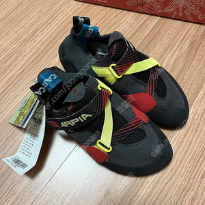 클라이밍 암벽화 스카르파 아피아 37 팝니다