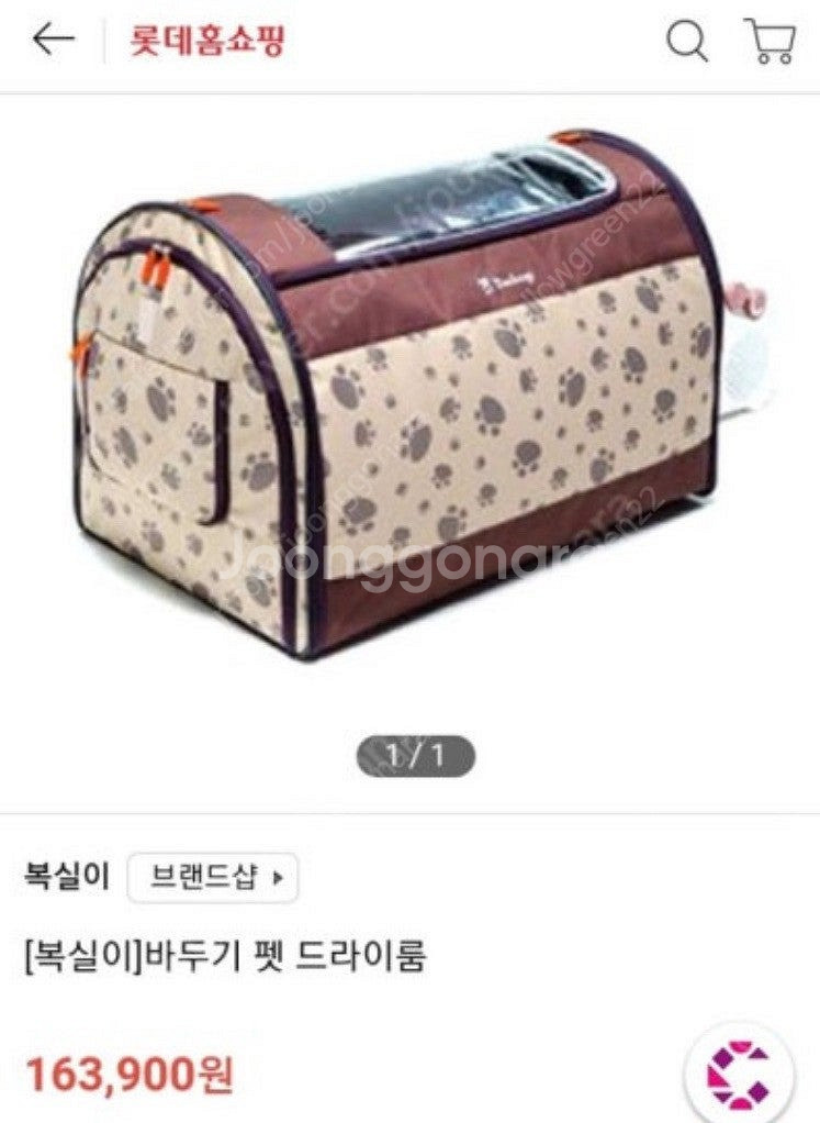 강아지 드라이룸--1