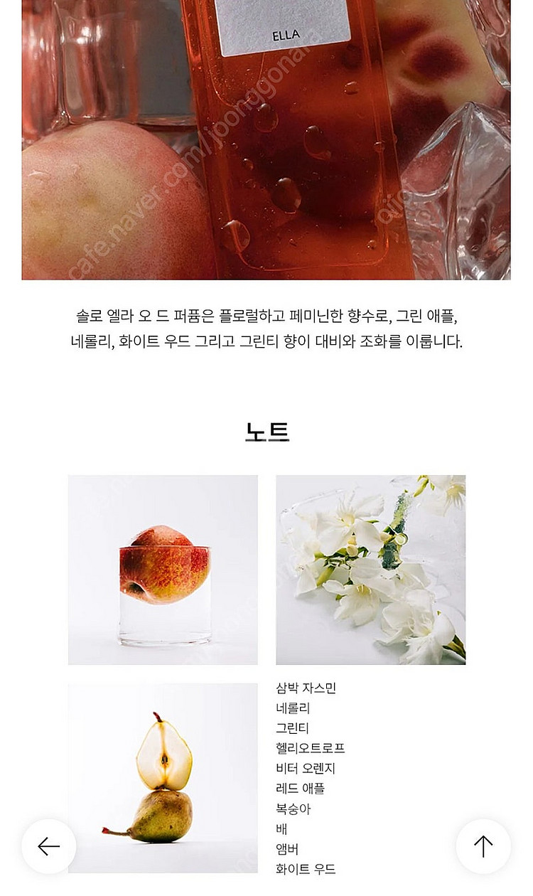 로에베 향수 set--5