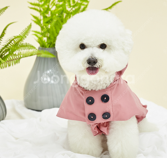 에덴숑 후디 퍼 베스트, 아베크 케이프코트 강아지옷 새상품--2