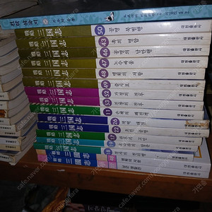 전략삼국지 낱권