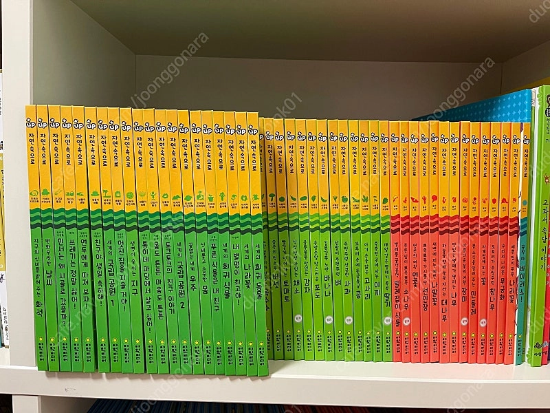 플러스업 자연속으로 최신개정판 새책컨디션 이미지