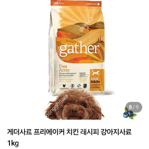 강아지 게더사료 1키로