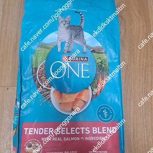 퓨리나원 고양이 텐데바이트 연어사료 3.1kg
