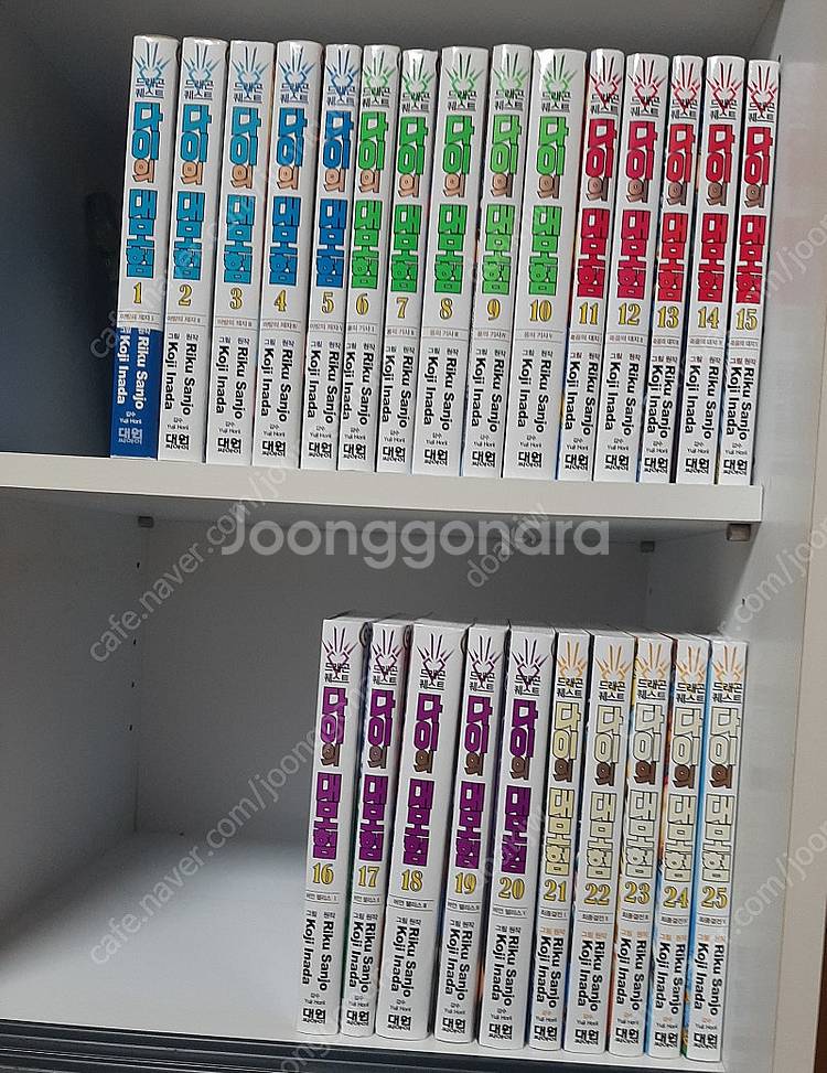 다이의 대모험 신장채록판 전권 만화책--0