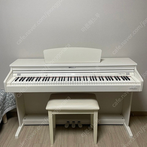 다이나톤 디지털피아노 DP3000